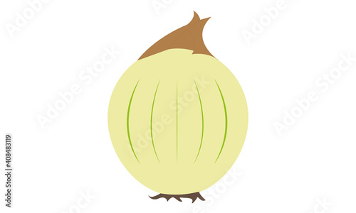 onion
