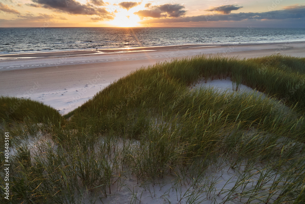 scenic sunset over the north sea behind idyllic sand dunes during summer - location: Vejers Strand, Denmark