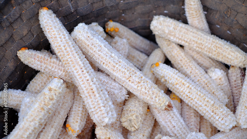 Raw corncobs were remove corn kernels out of the pods.