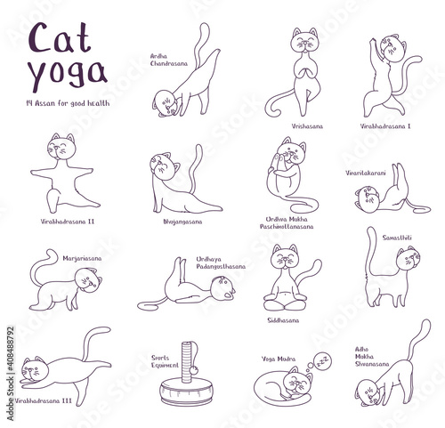 Vector black and white illustration of cat yoga characters. Contour set of cats in asanas. For printing on clothing or products, for coloring.