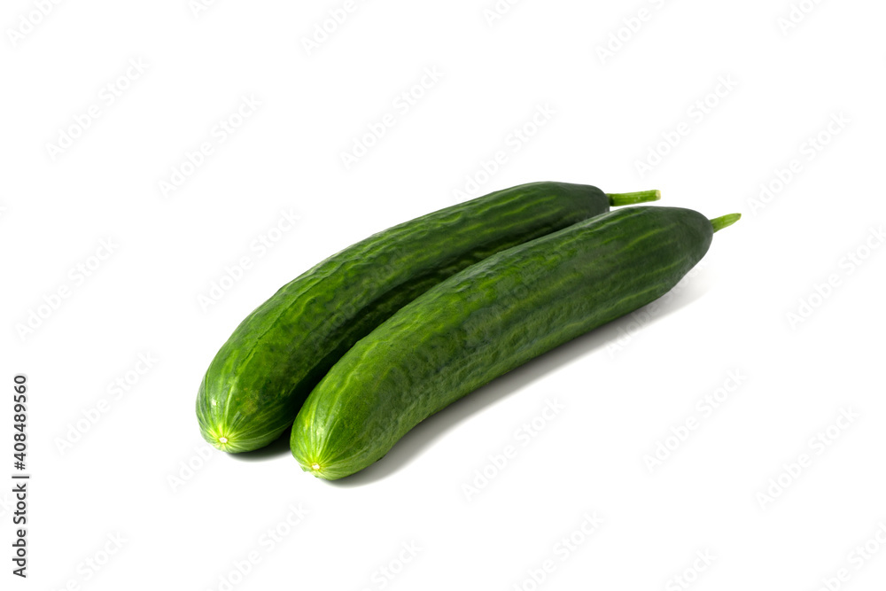 Green long Chinese cucumber. Isolated. Green long Chinese cucumber. Isolated.
