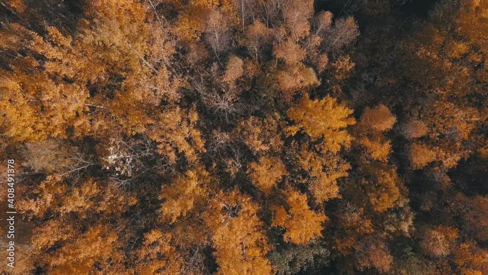 aerial autumn landscape with fall colored trees, europe springtime, blue sky with clouds aerial autumn landscape with fall colored trees, europe springtime, blue sky with clouds