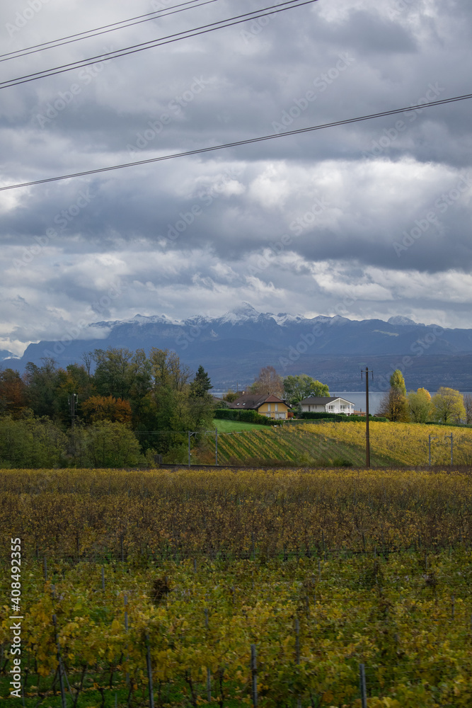 Obraz premium view of the alps from a land field