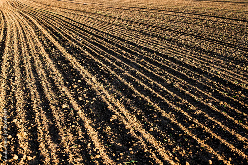 Unplanted farmland with straight parallel driving grooves in the brown dry soil