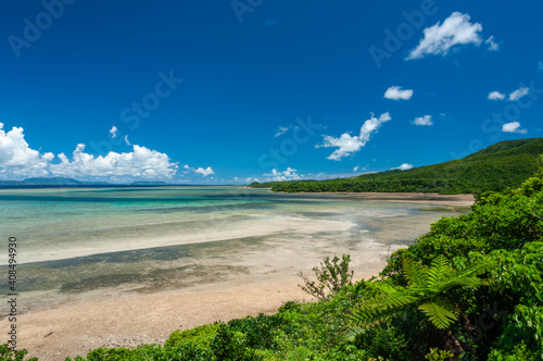 Beautiful view of the lush hillside of Iriomote island with a calm and shallow waters in the background.