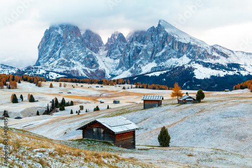 Alpine meadow and wooden house the Alpe di Siusi or Seiser Alm the Langkofel group mountains with Bolzano province, south Tyrol at Dolomites