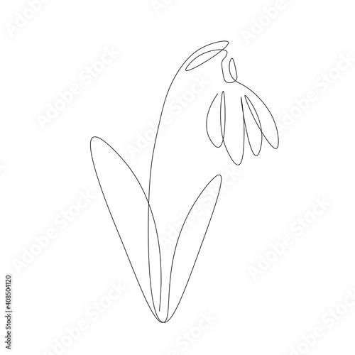 Snowdrop flower on white background vector illustration