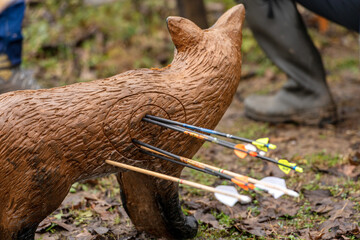 Close-up of an archery target and arrows, fake fox animal over fallen leaves and mud in autumn. Italy.