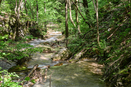 Rapids on the forest stream, Susara river, Romania. Waterfalls on the river current photo