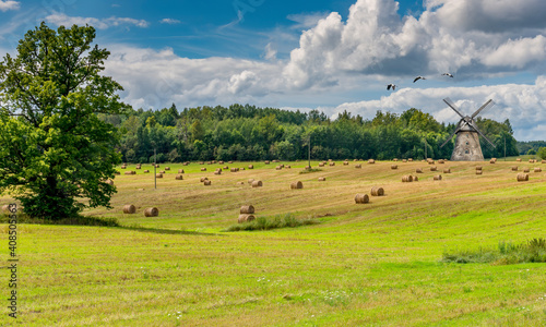 Countryside landscape with green field and rolls of haystacks, forest, flocks...