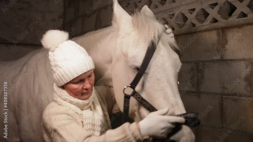 A woman puts a halter on a horse. An elderly woman puts a bridle on a white horse in a stall. Stone stables. A woman puts a halter on a horse. An elderly woman puts a bridle on a white horse in a stall. Stone stables.