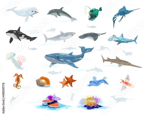 Big vector set with underwater inhabitants  fishes dolphin  anglerfish  swordfish  whale  shark  jellyfish  sawfish  seahorse  mollusk starfish beluga atlantic torpedo hammerhead