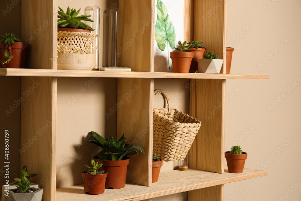 Wooden shelves with different decorative elements on beige wall,