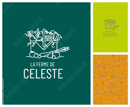 Production à la ferme de légumes et fruits bio de saison, identité visuelle, logo, tampon, motif, étiquette, mockup