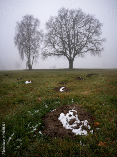 mole aircondition - Klimaanlage für Maulwürfe photo