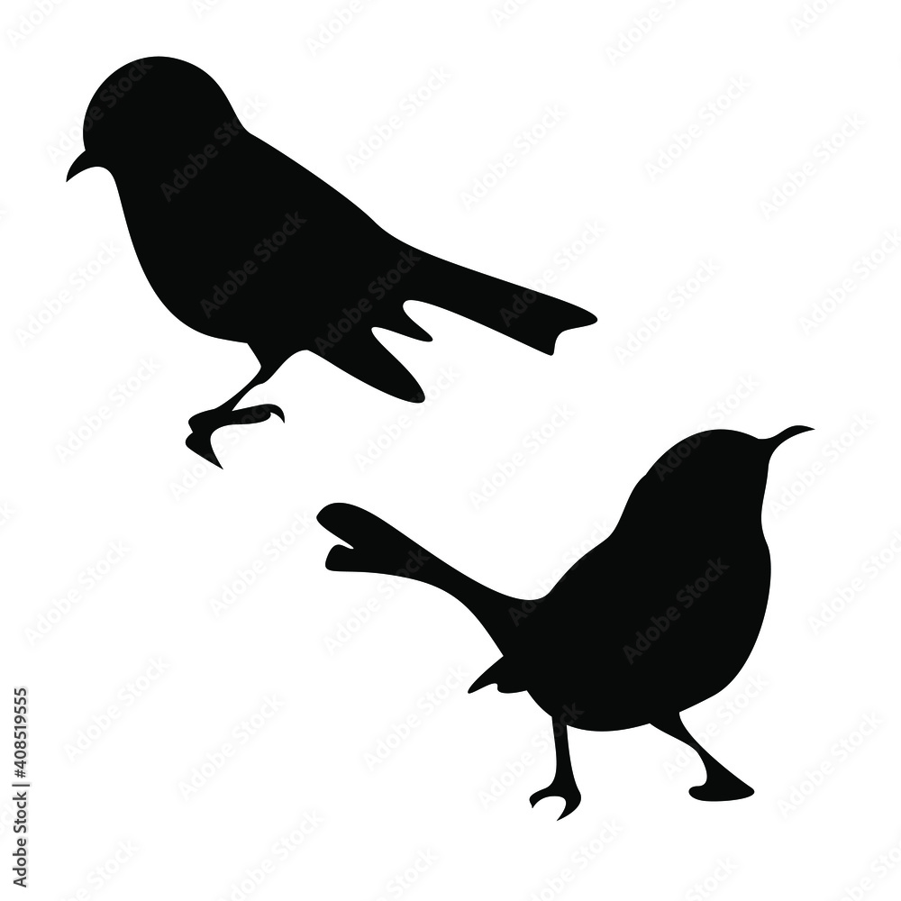 Obraz premium instant photo