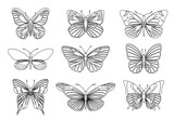 Set of butterflies for design element and adult or kids coloring book page. illustration.