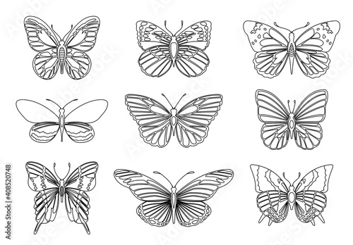Set of butterflies for design element and adult or kids coloring book page. illustration. © the8monkey