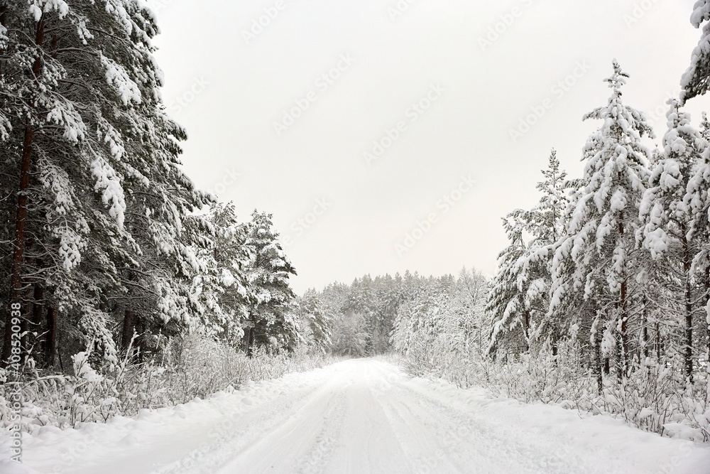 Snow covered Forest Road in Sweden
