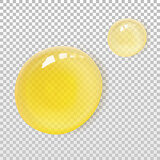 Transparent oil drops realistic vector illustration isolated. Skincare serum