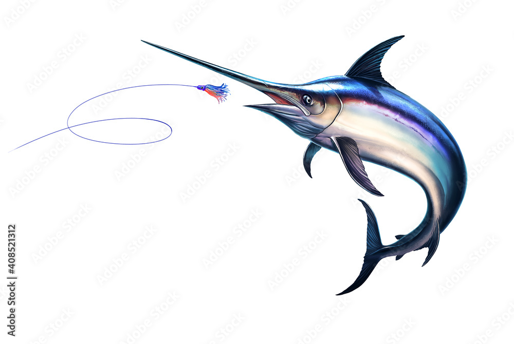 Fish sword attacks Bait Sea Swim Squids. Marlin jumps out of the water
