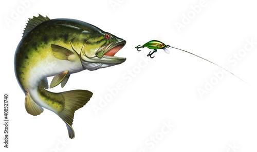 Bass fish jumps out of water isolate realistic illustration. Bass hunts for the golden wobbler bait. perch fishing in the usa on a river or lake at the weekend. photo