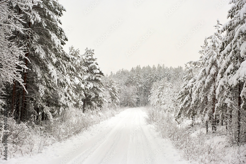 Fototapeta premium Snow covered Forest Road in Sweden