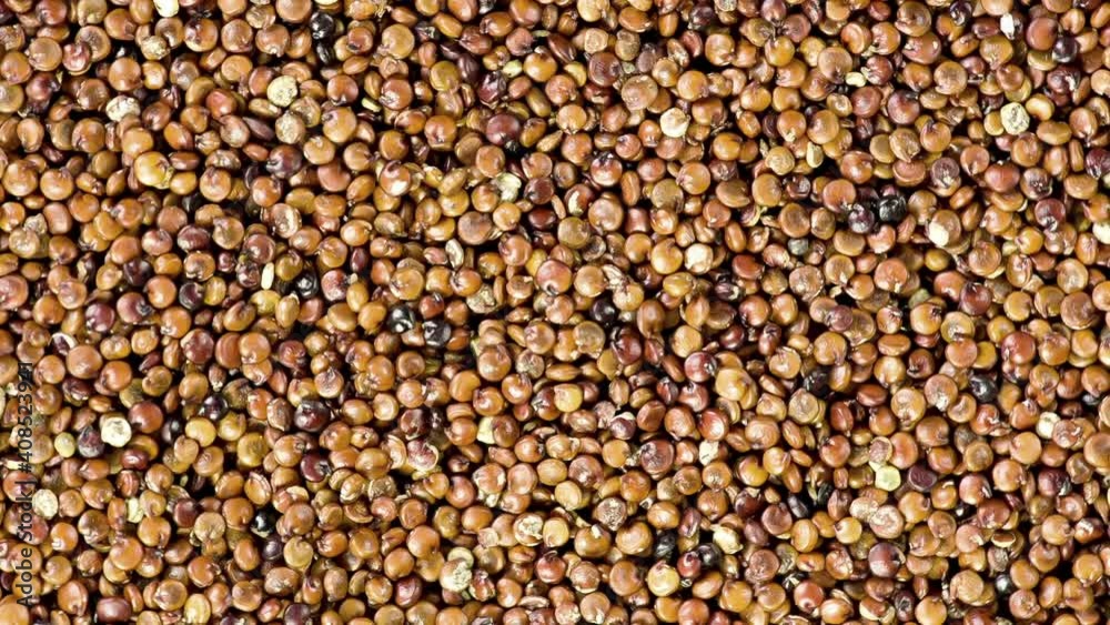Red Quinoa close up