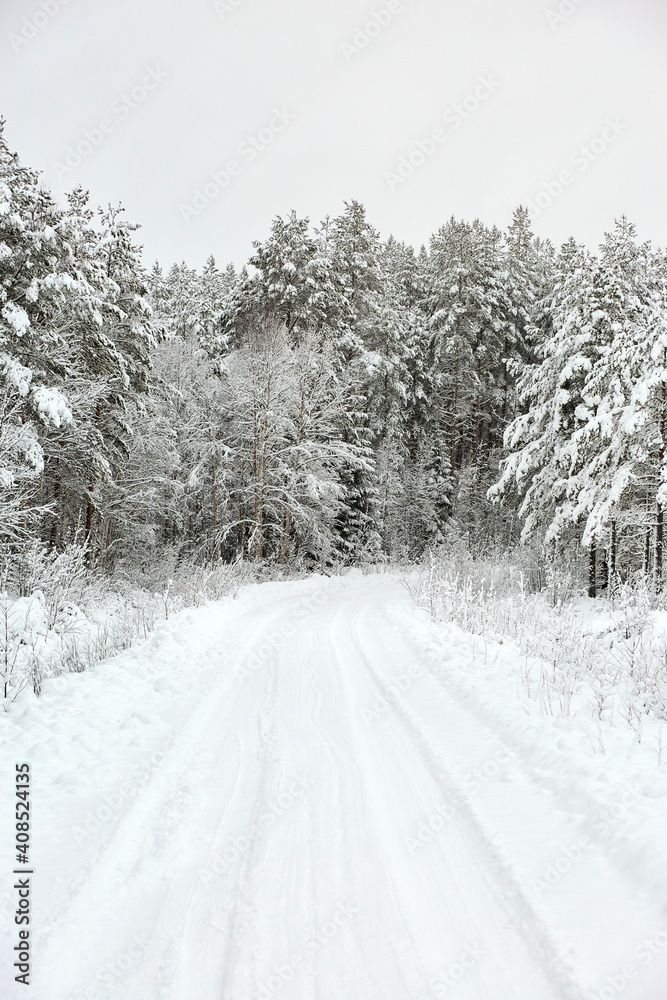 Obraz premium Snow covered Forest Road in Sweden