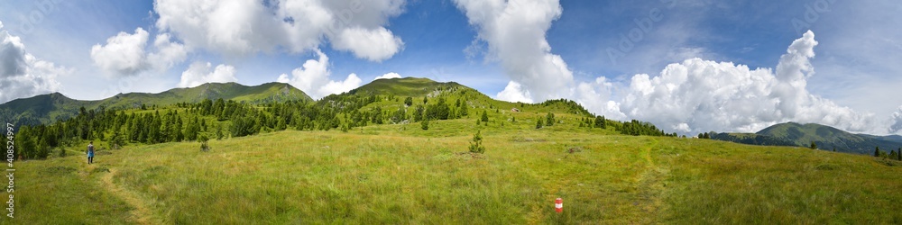 Panorama Bergwiese in den Nockbergen / Kärnten