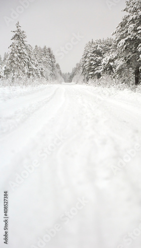 Snow covered Forest Road in Sweden