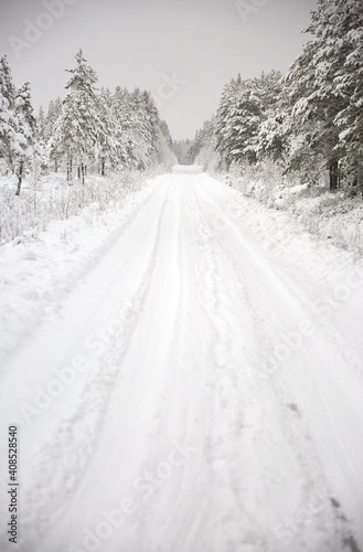 Snow covered Forest Road in Sweden © imagemanufaktur