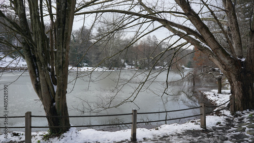 Snow covered forest and trees at belgrad forest İstanbul