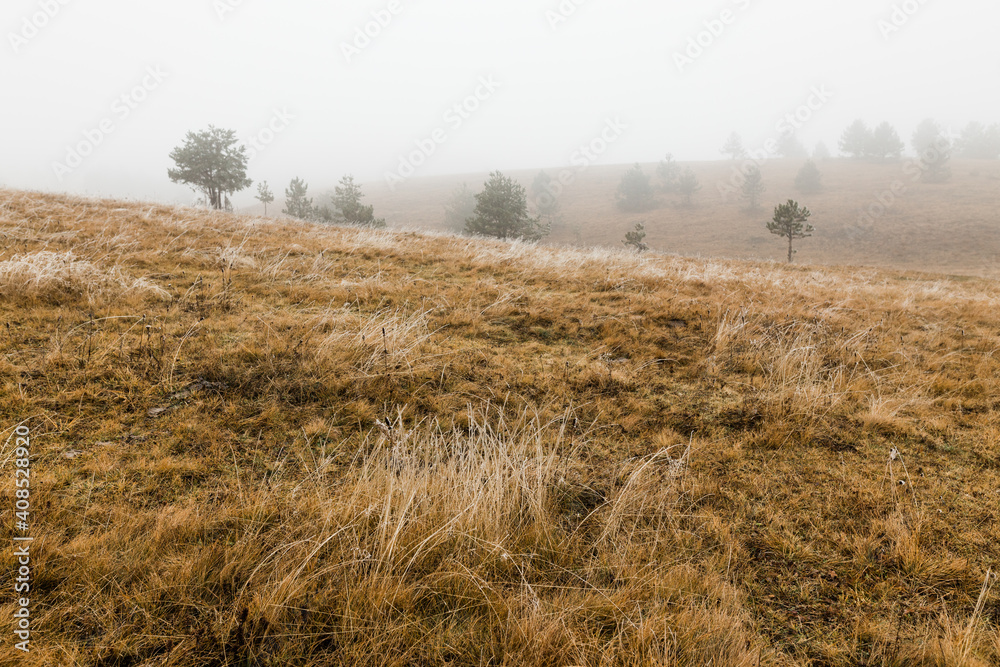 Fototapeta premium View of the beautiful mountain landscape in winter morning