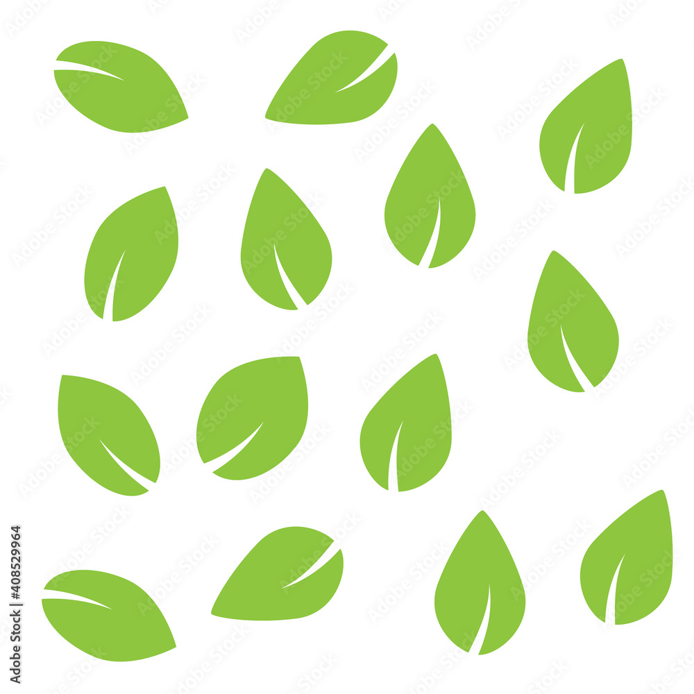 Green tree and plant leaves vector icons isolated on white background. Eco symbols set. Plant green leaf, organic natural floral illustration