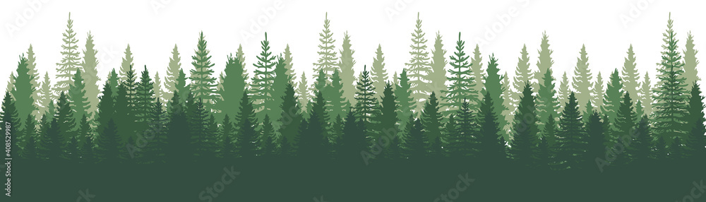 Forest Panorama view. Pines. Spruce nature landscape. Forest background. Set of Pine, Spruce and Christmas Tree on White background. Silhouette forest background. Vector illustration