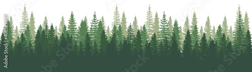 Canvas Print Forest Panorama view