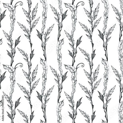 Fototapeta Naklejka Na Ścianę i Meble -  Seamless botanical pattern. Abstract hand drawing grass. Background. Texture.