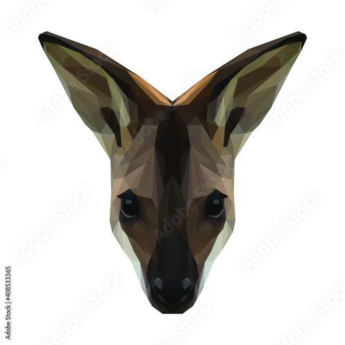 Geometrical illustration of a wallaby head isolated