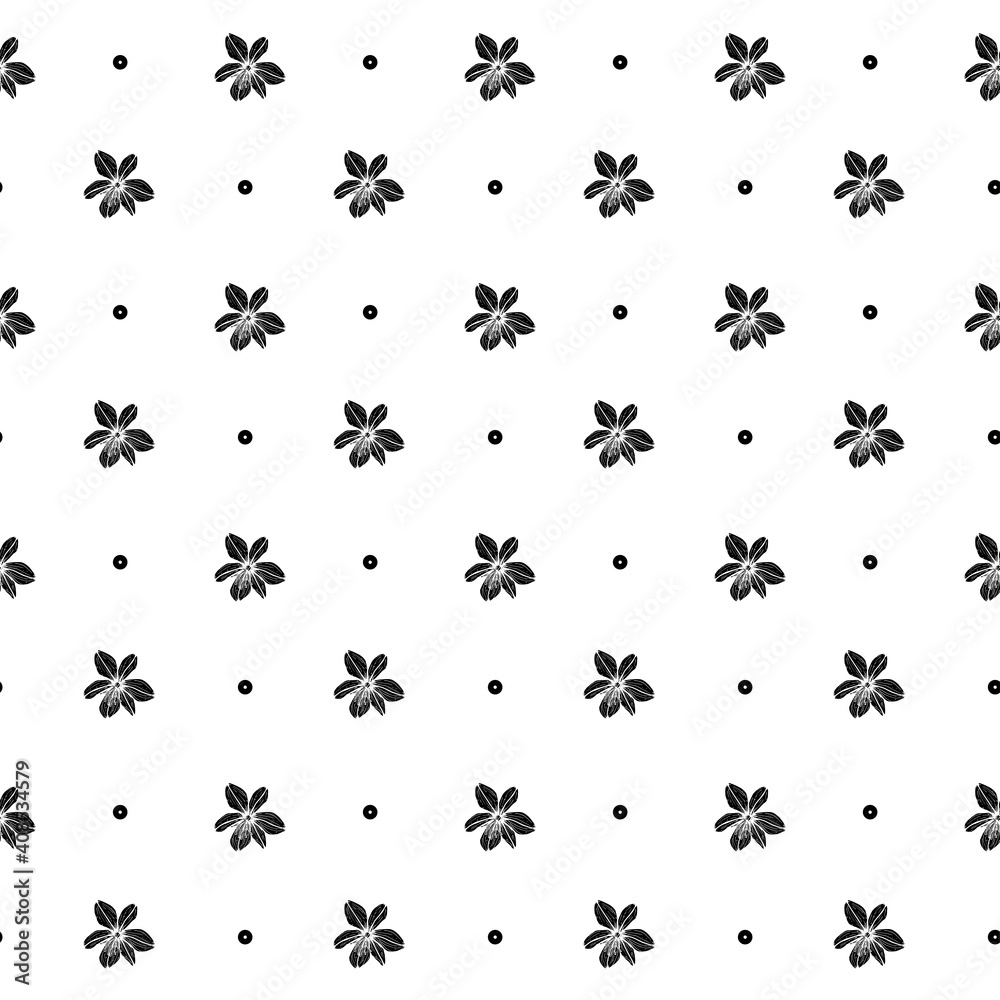 Pattern black and white flowers, asphodel