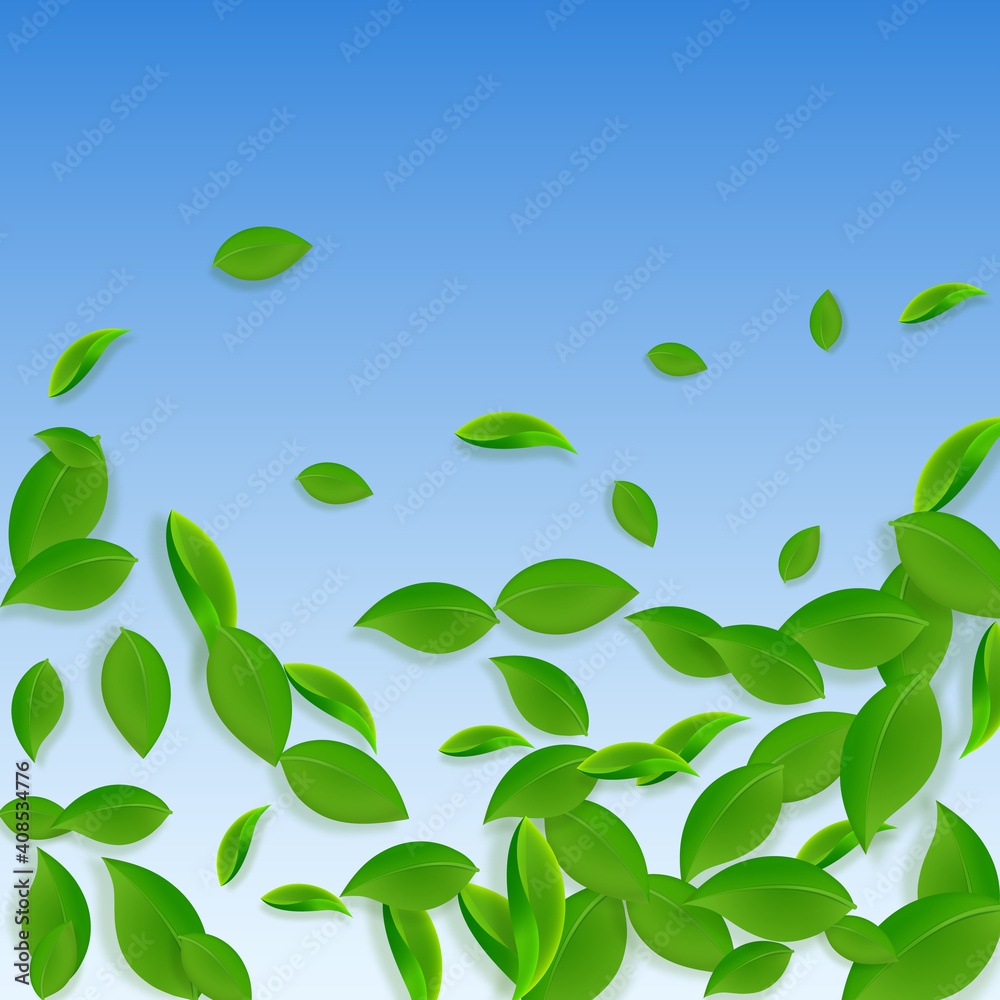 Falling green leaves. Fresh tea chaotic leaves fly Falling green leaves. Fresh tea chaotic leaves fly