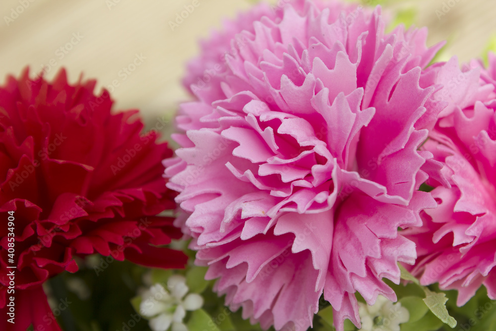 pink and red carnation flower made from soap on wooden deck background. pink and red cloves flowers . pink and red carnation flower made from soap on wooden deck background. pink and red cloves flowers .