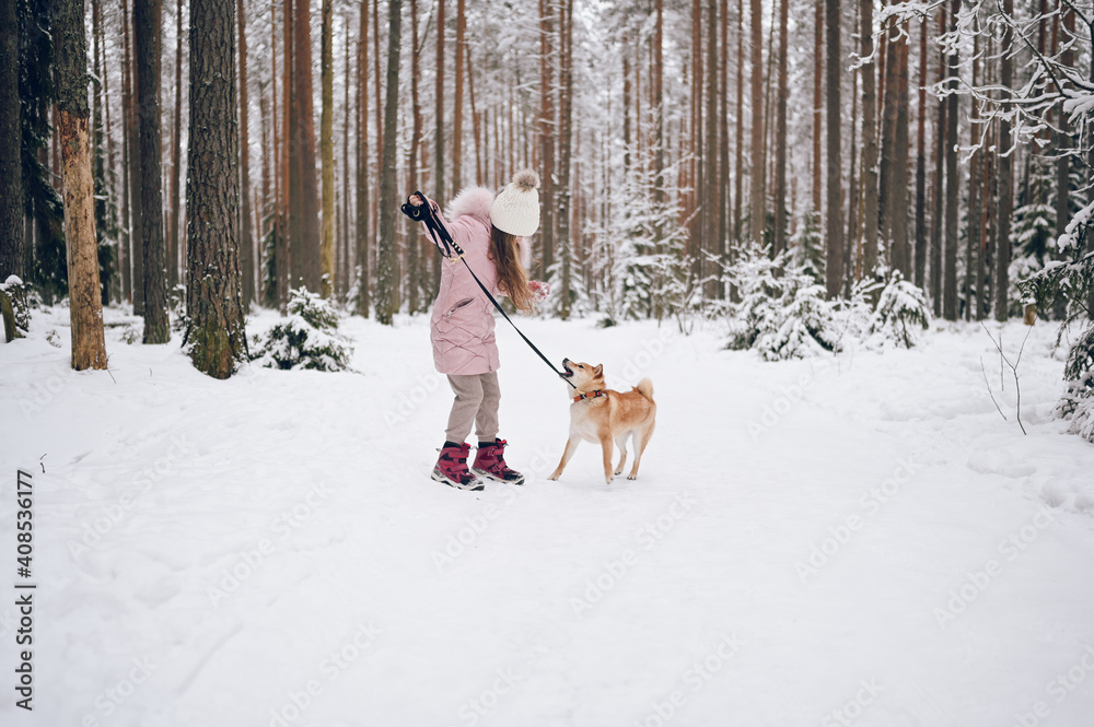Happy family weekend - little cute girl in pink warm outwear walking having fun with red shiba inu dog in snowy white cold winter forest outdoors. Kids sport vacation activities concept.