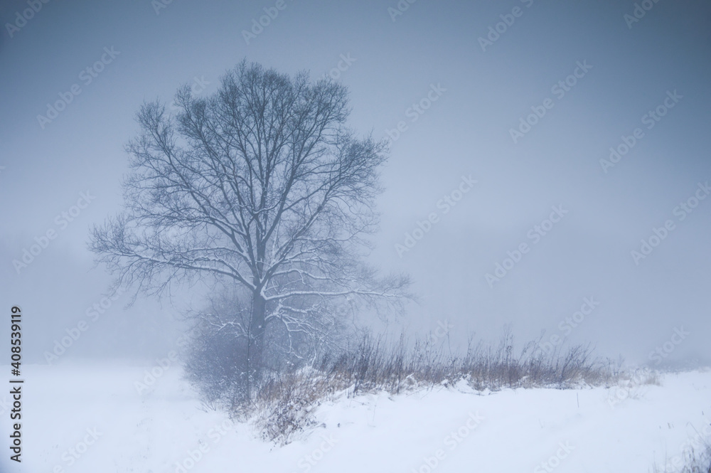 Fog over winter outdoor scene at Lower Silesia, Poland Fog over winter outdoor scene at Lower Silesia, Poland