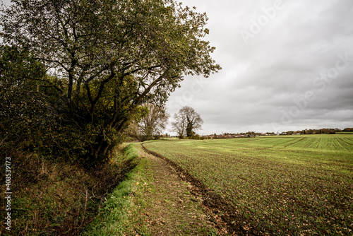 road in the field