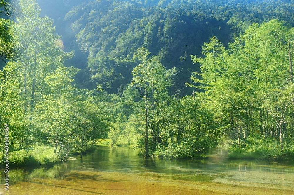 信州上高地夏景色stock Photo Adobe Stock