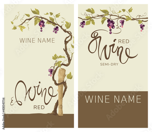 Wine labels with grapevine / Set vector illustration, floral design element	