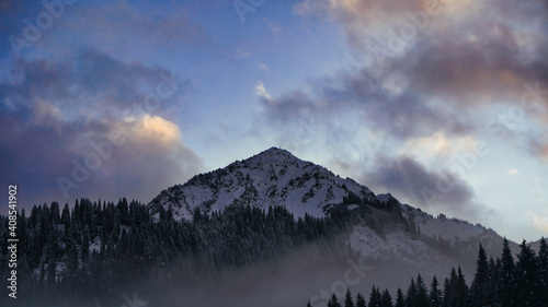 bewaldeter Berggipfel mit dramatischem Himmel