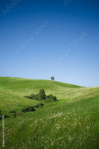 Beautiful landscape with green hills against the blue sky. Green meadows with flowers and trees  illuminated by sunlight. Summer sunny day in nature.