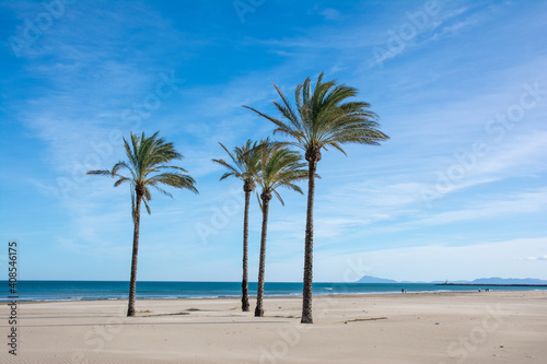 Fototapeta Naklejka Na Ścianę i Meble -  Las palmeras en la playa